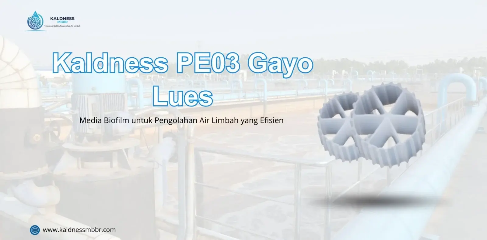 Kaldness PE03 Gayo Lues